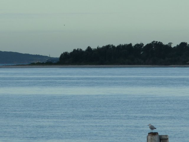 Looking at Towra Point across Georges River running into Botany Bay, Sans Souci